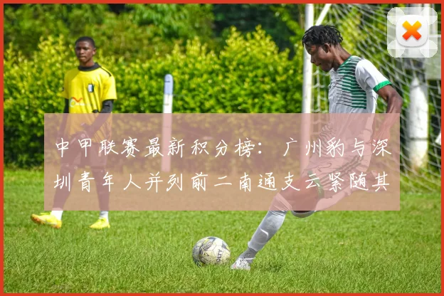 中甲联赛最新积分榜：广州豹与深圳青年人并列前二南通支云紧随其后