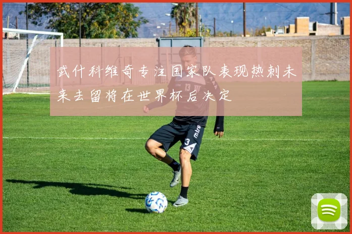武什科维奇专注国家队表现热刺未来去留将在世界杯后决定