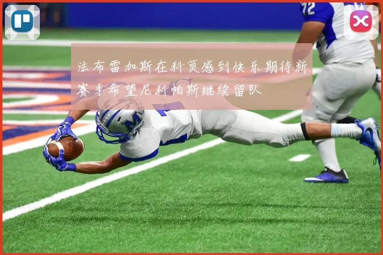 法布雷加斯在科莫感到快乐期待新赛季希望尼科帕斯继续留队